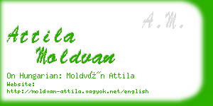 attila moldvan business card